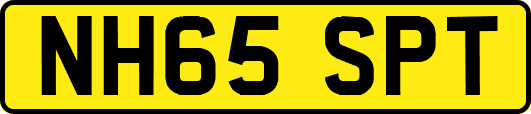 NH65SPT