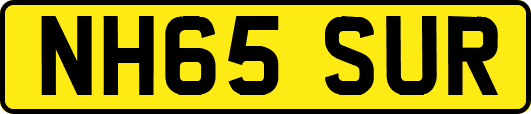 NH65SUR