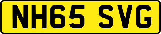 NH65SVG