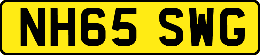 NH65SWG