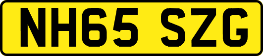 NH65SZG