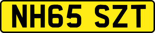 NH65SZT