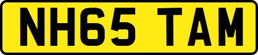 NH65TAM