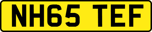 NH65TEF