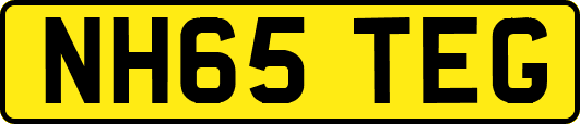 NH65TEG