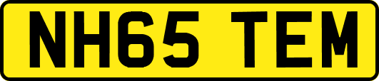 NH65TEM