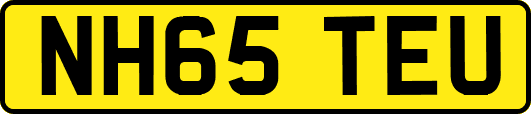 NH65TEU