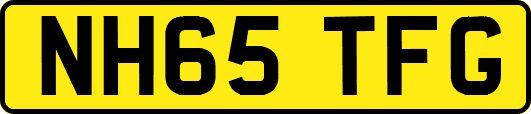 NH65TFG