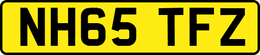 NH65TFZ