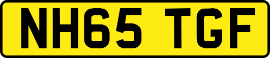 NH65TGF