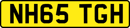 NH65TGH