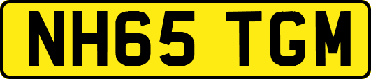 NH65TGM