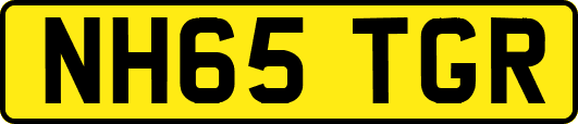 NH65TGR