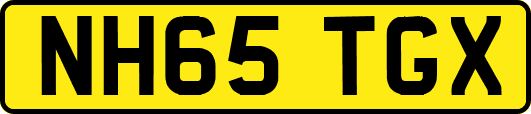 NH65TGX
