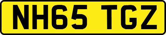 NH65TGZ
