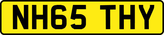 NH65THY