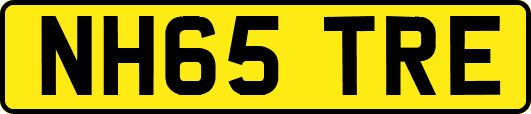 NH65TRE