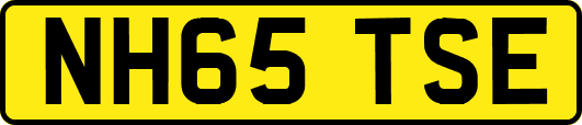 NH65TSE