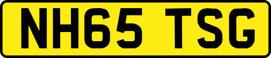NH65TSG