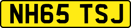 NH65TSJ