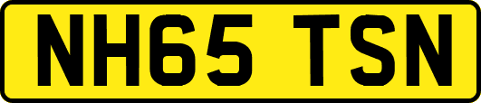 NH65TSN