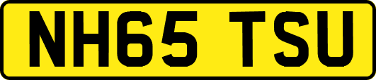 NH65TSU