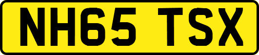 NH65TSX