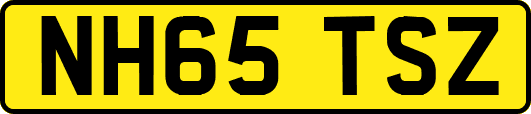 NH65TSZ