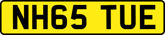 NH65TUE