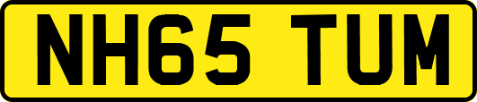 NH65TUM