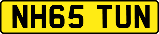 NH65TUN