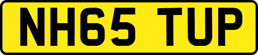 NH65TUP