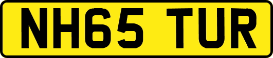 NH65TUR