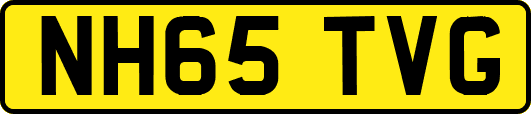 NH65TVG