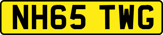 NH65TWG