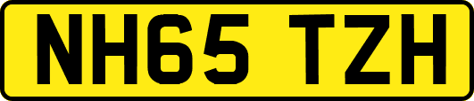 NH65TZH