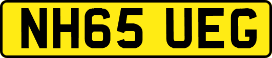 NH65UEG
