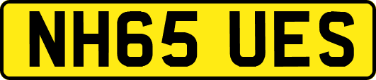 NH65UES