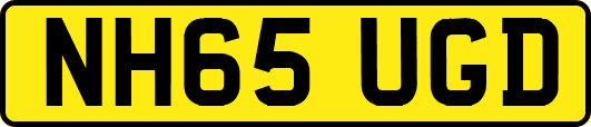 NH65UGD