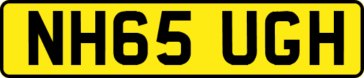 NH65UGH