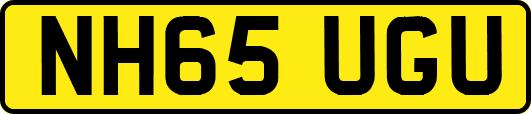 NH65UGU