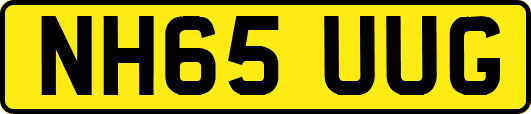 NH65UUG