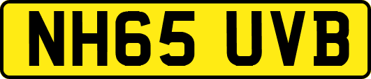 NH65UVB