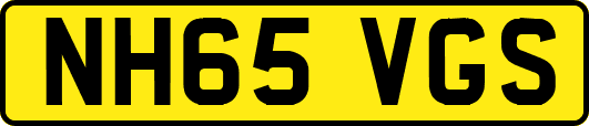 NH65VGS