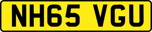 NH65VGU