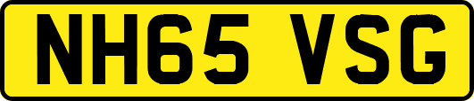 NH65VSG