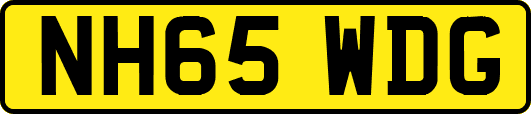 NH65WDG