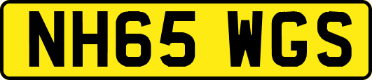 NH65WGS