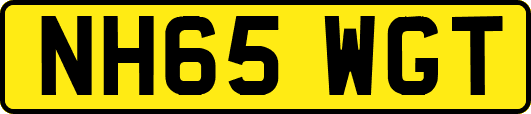 NH65WGT