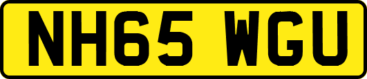 NH65WGU